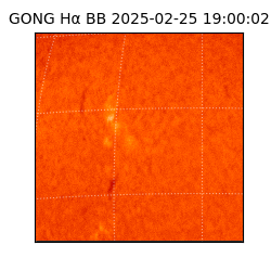 gong - 2025-02-25T19:00:02