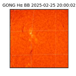 gong - 2025-02-25T20:00:02