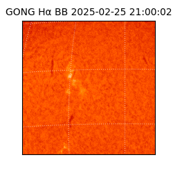 gong - 2025-02-25T21:00:02