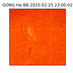 gong - 2025-02-25T23:00:02