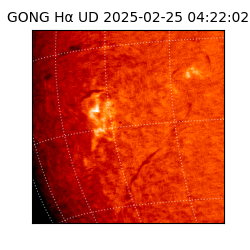 gong - 2025-02-25T04:22:02