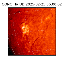 gong - 2025-02-25T06:00:02