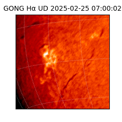 gong - 2025-02-25T07:00:02