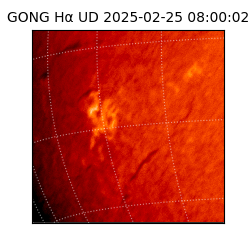 gong - 2025-02-25T08:00:02