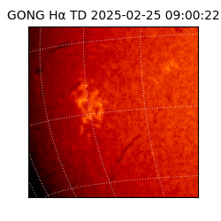 gong - 2025-02-25T09:00:22