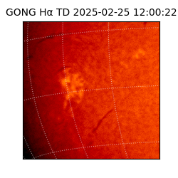 gong - 2025-02-25T12:00:22