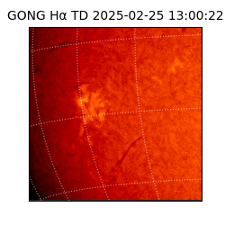 gong - 2025-02-25T13:00:22