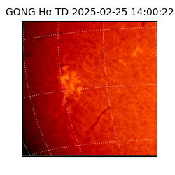 gong - 2025-02-25T14:00:22