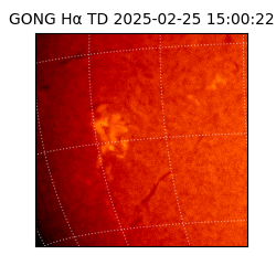 gong - 2025-02-25T15:00:22