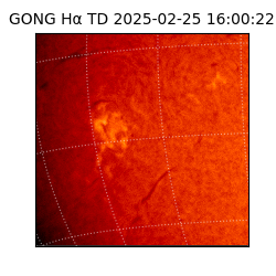 gong - 2025-02-25T16:00:22