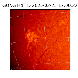 gong - 2025-02-25T17:00:22