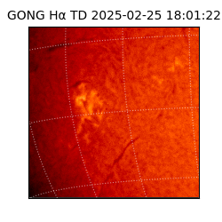 gong - 2025-02-25T18:01:22