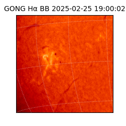 gong - 2025-02-25T19:00:02