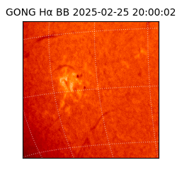 gong - 2025-02-25T20:00:02