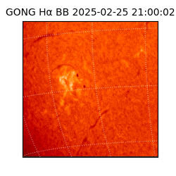 gong - 2025-02-25T21:00:02