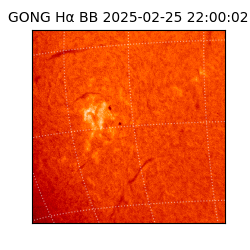 gong - 2025-02-25T22:00:02