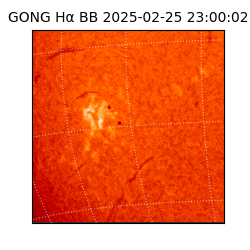 gong - 2025-02-25T23:00:02