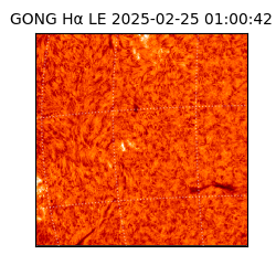 gong - 2025-02-25T01:00:42