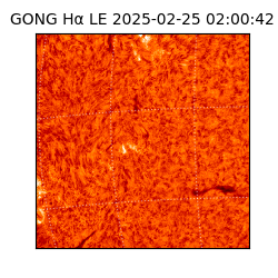 gong - 2025-02-25T02:00:42