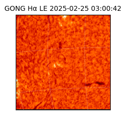 gong - 2025-02-25T03:00:42
