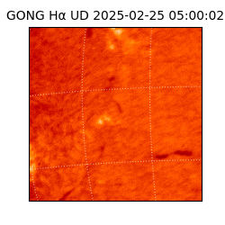 gong - 2025-02-25T05:00:02