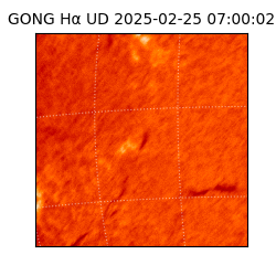 gong - 2025-02-25T07:00:02