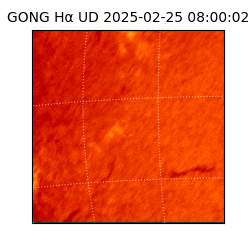 gong - 2025-02-25T08:00:02