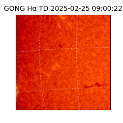 gong - 2025-02-25T09:00:22