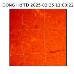 gong - 2025-02-25T11:00:22