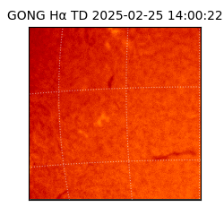 gong - 2025-02-25T14:00:22