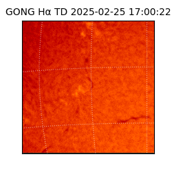 gong - 2025-02-25T17:00:22