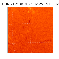 gong - 2025-02-25T19:00:02