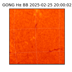 gong - 2025-02-25T20:00:02
