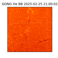 gong - 2025-02-25T21:00:02