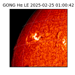 gong - 2025-02-25T01:00:42