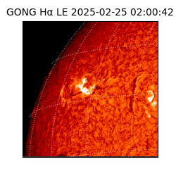 gong - 2025-02-25T02:00:42