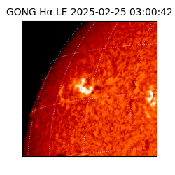 gong - 2025-02-25T03:00:42