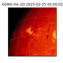 gong - 2025-02-25T05:00:02