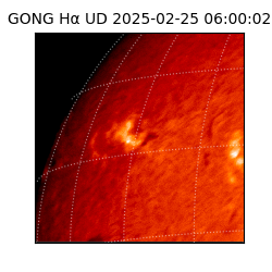 gong - 2025-02-25T06:00:02