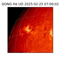 gong - 2025-02-25T07:00:02