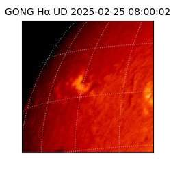 gong - 2025-02-25T08:00:02