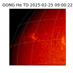 gong - 2025-02-25T09:00:22
