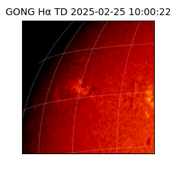 gong - 2025-02-25T10:00:22