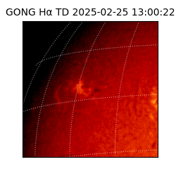gong - 2025-02-25T13:00:22