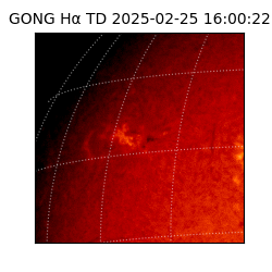 gong - 2025-02-25T16:00:22
