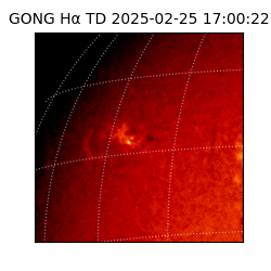 gong - 2025-02-25T17:00:22