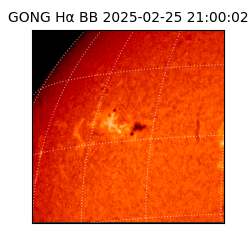 gong - 2025-02-25T21:00:02