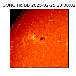 gong - 2025-02-25T23:00:02