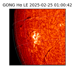 gong - 2025-02-25T01:00:42