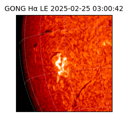 gong - 2025-02-25T03:00:42